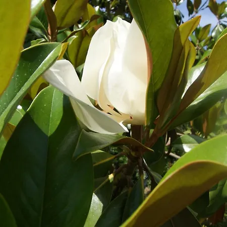 Our House * Kanálion