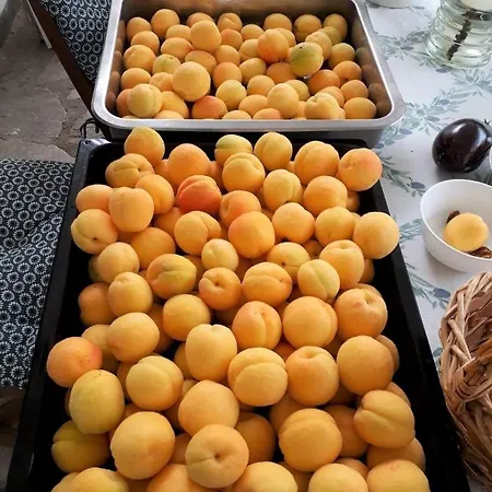 Our House Hébergement de vacances *